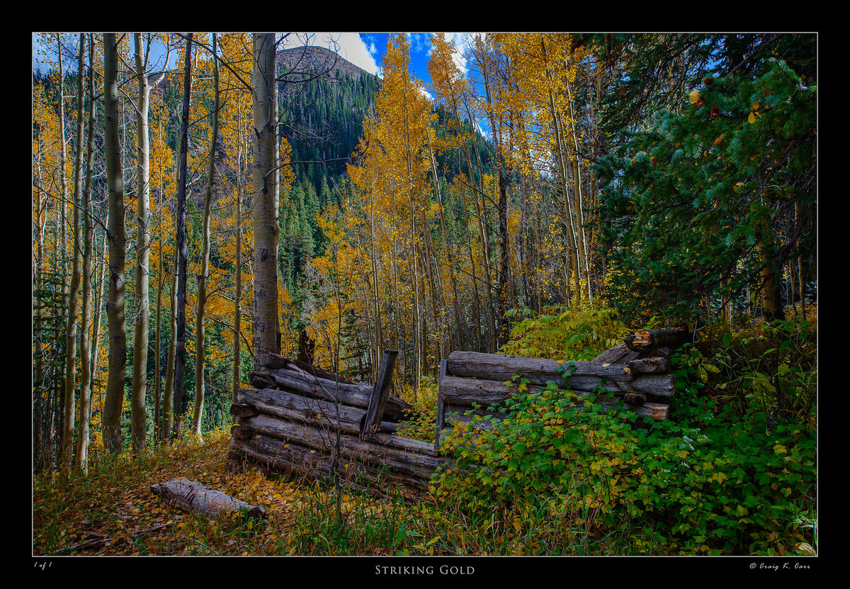 _DSC5655_007102c-X2.jpg