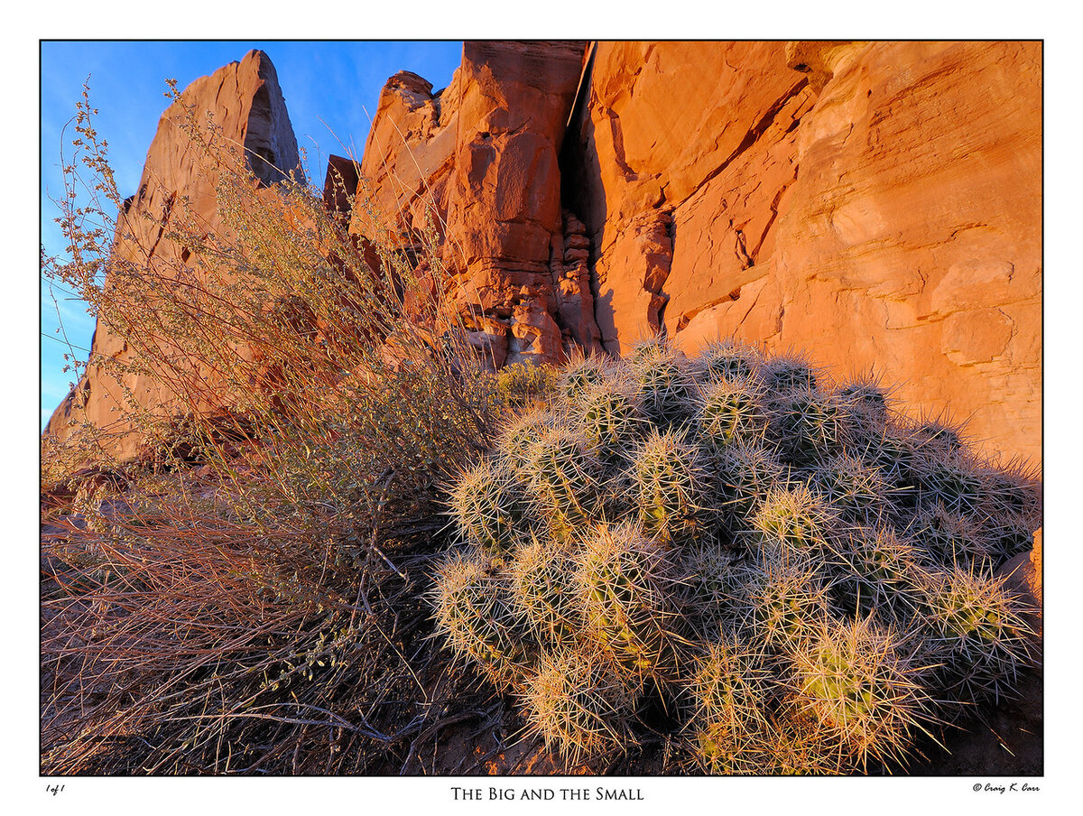 _DSC5742-X2.jpg