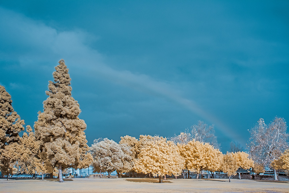 _DSC5778_d1w.jpg