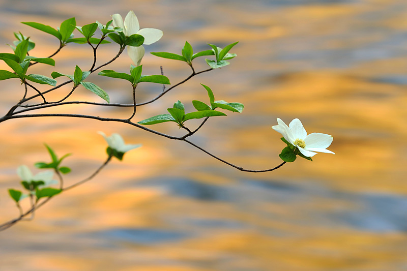 _DSC5787_dw.jpg