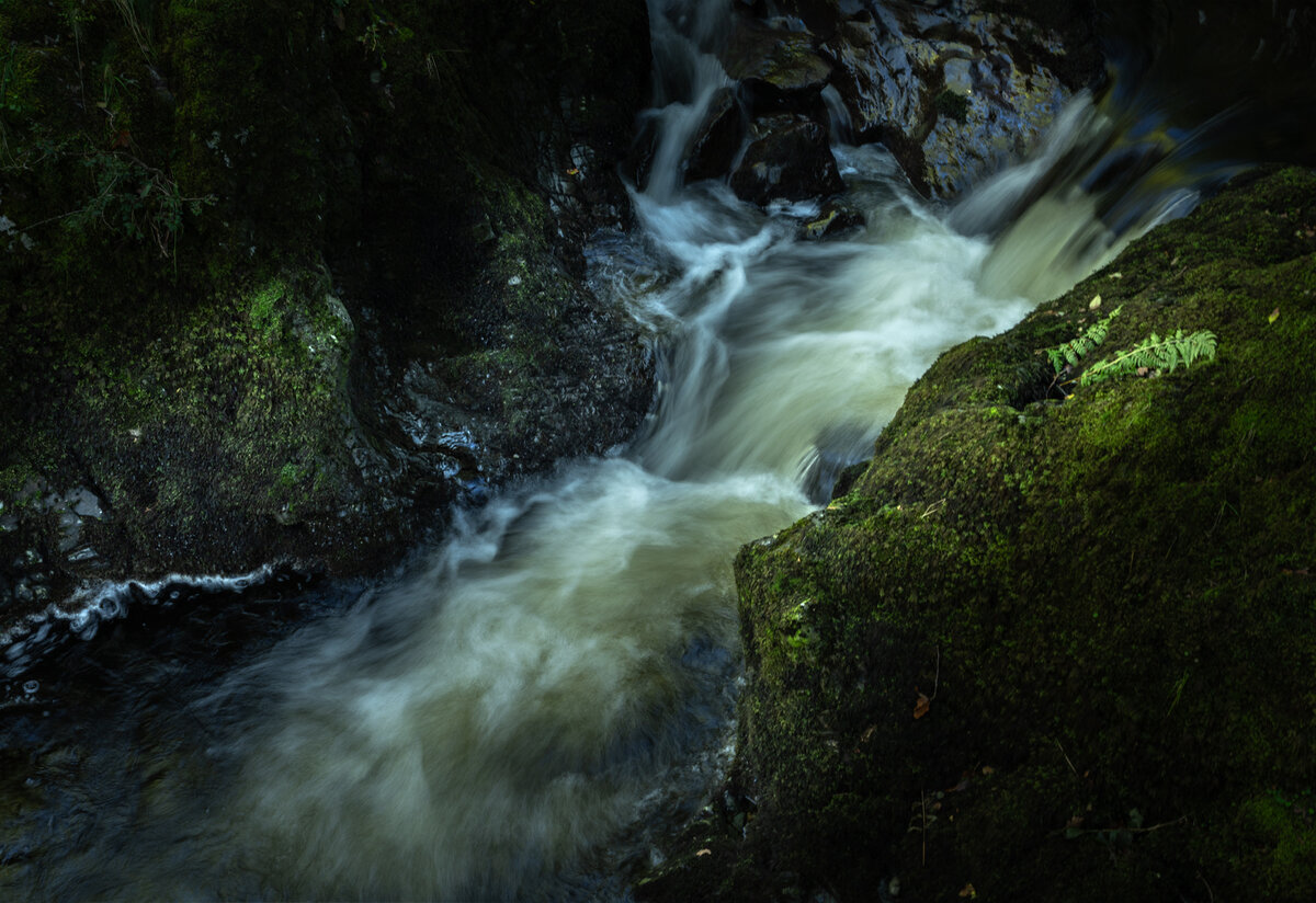_DSC5927-1 copy.jpg