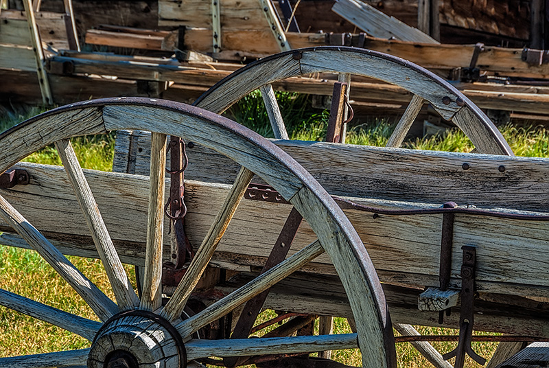 _DSC6041_dw.jpg