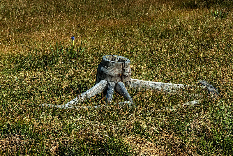 _DSC6052_dw.jpg
