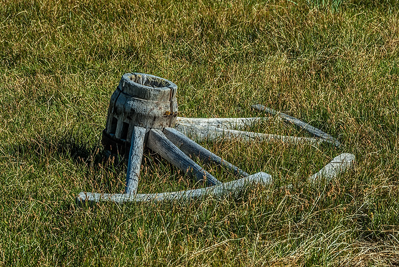 _DSC6059_dw.jpg