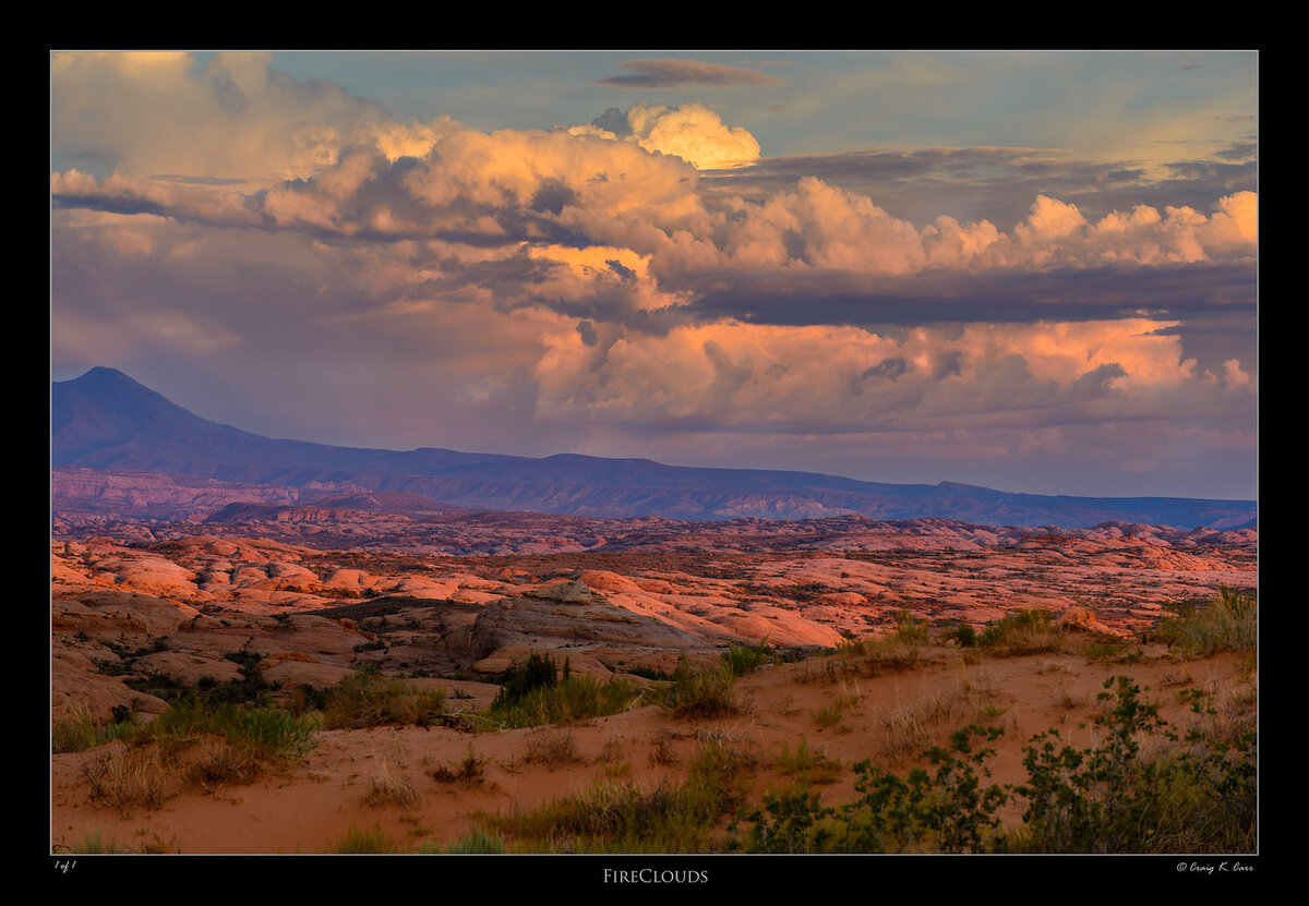 _DSC6107-X2.jpg