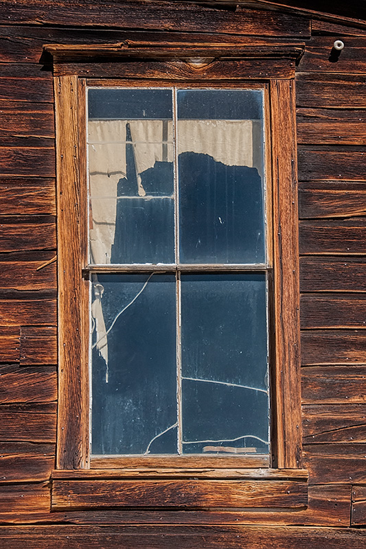 _DSC6123_dw.jpg