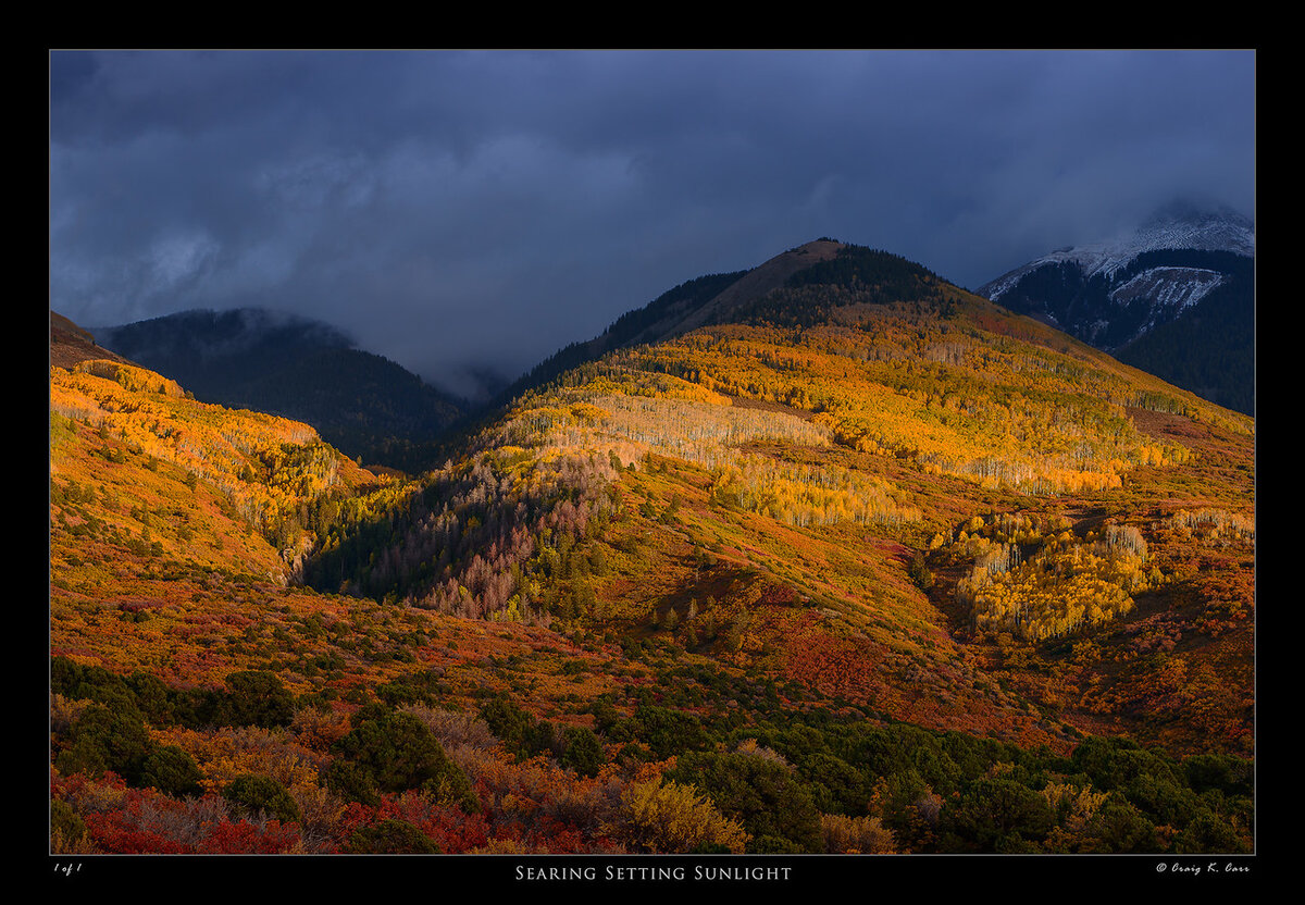 _DSC6141_007544-X2.jpg