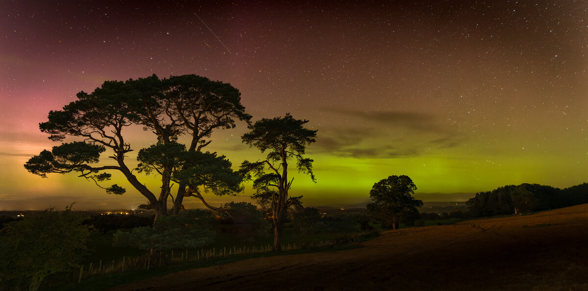 _DSC6195-ARW_DxO_DeepPRIME-1 copy.jpg