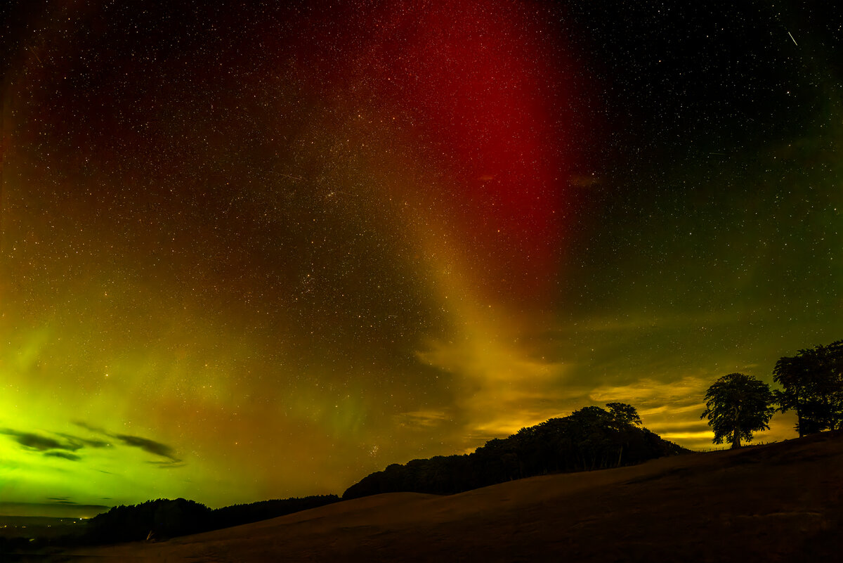 _DSC6206-ARW_DxO_DeepPRIME-1 copy.jpg