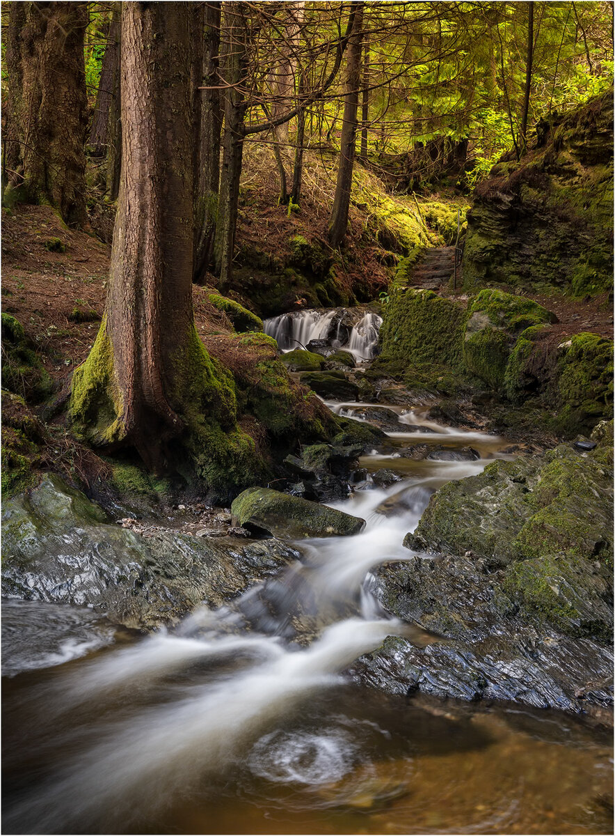 _DSC6219-1 (2).jpg