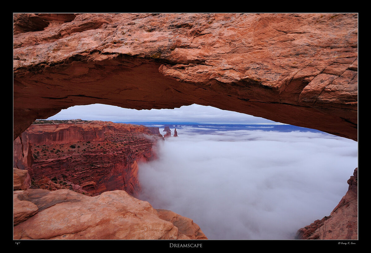 _DSC6294-X2.jpg