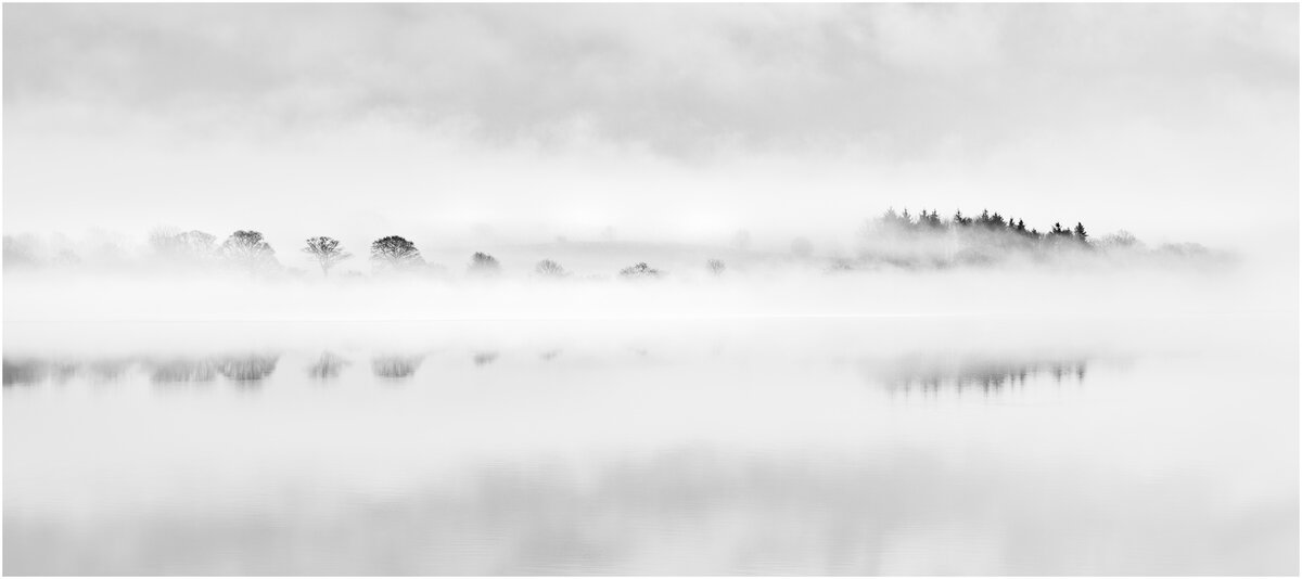 _DSC6307-1 brighter.jpg