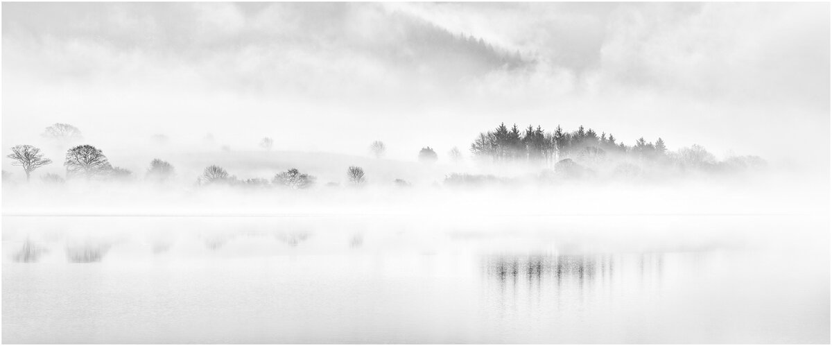 _DSC6311-1 cropped minimalism mono white stroke.jpg