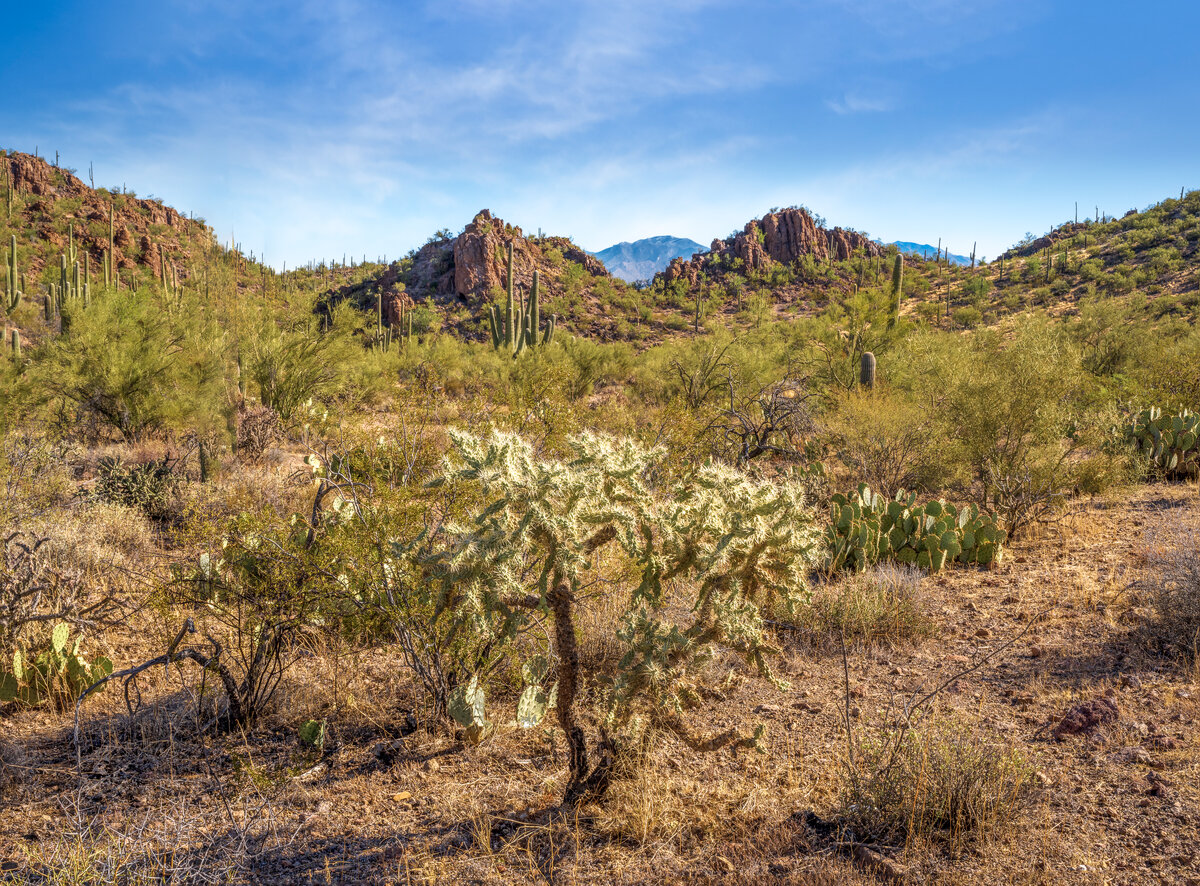 _DSC6405-Pano-Edit.jpg