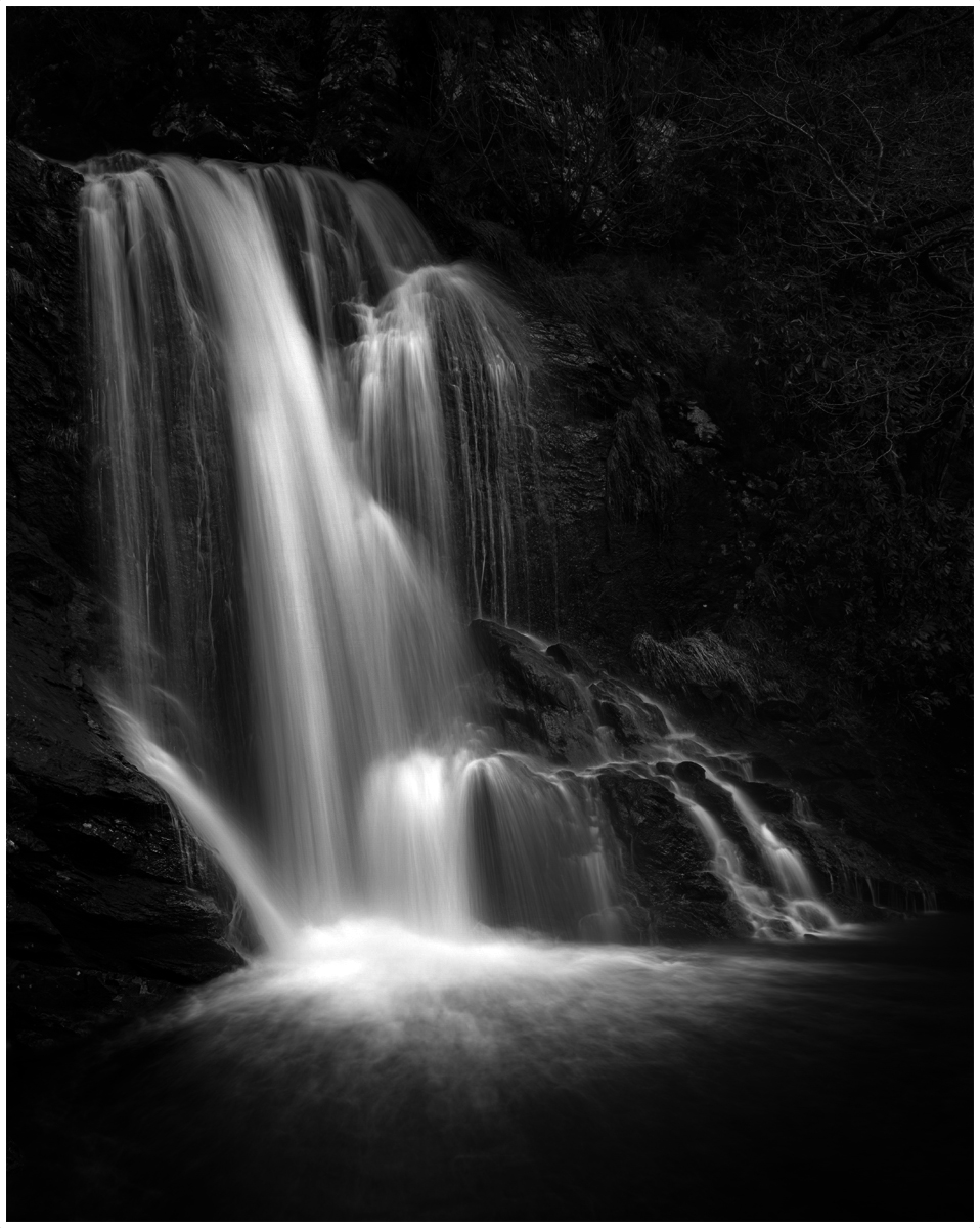 _DSC6534-1 1200 high wide white stroke mono quicky.jpg
