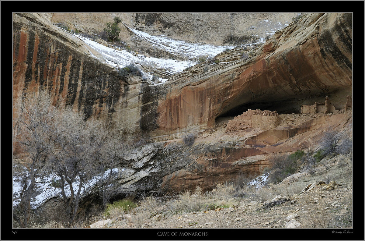 _DSC6858-X2.jpg