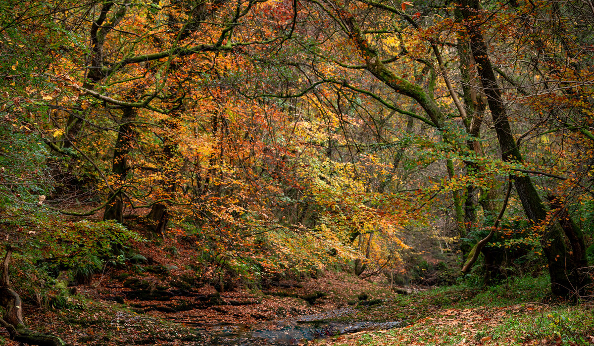 _DSC7095-1.jpg