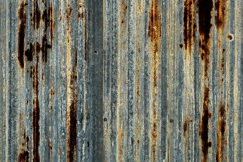 _DSC7112_dw.jpg