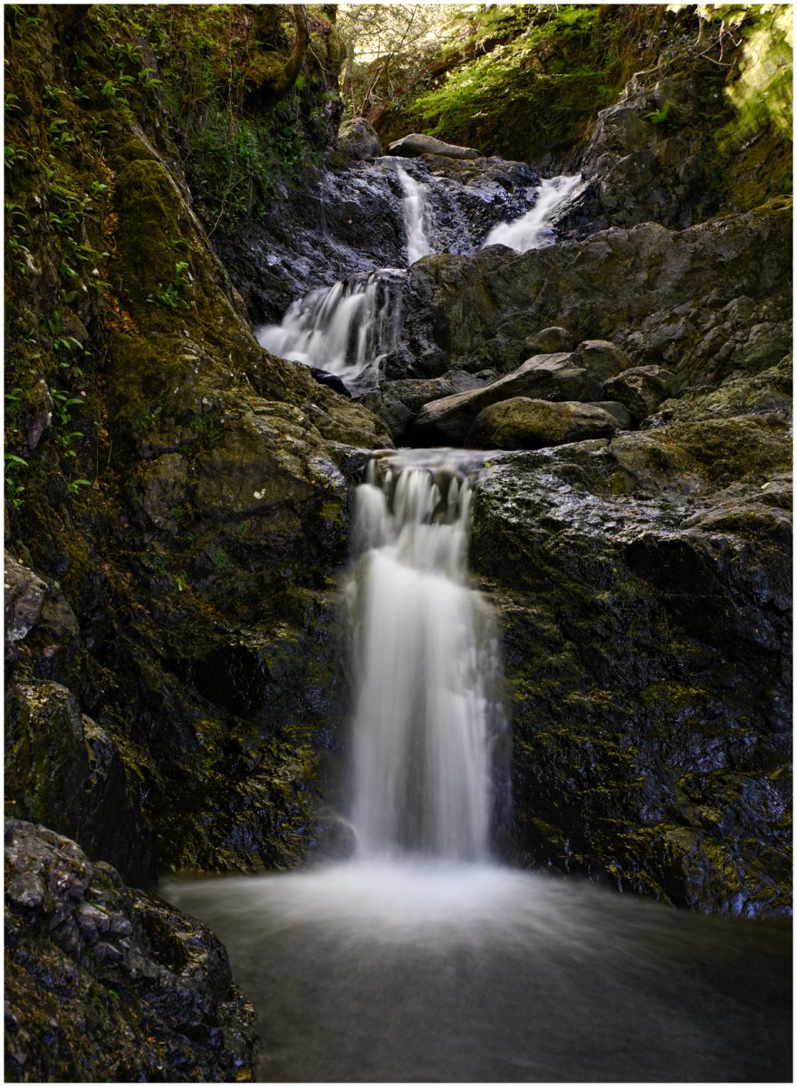 _DSC7260-1.jpg