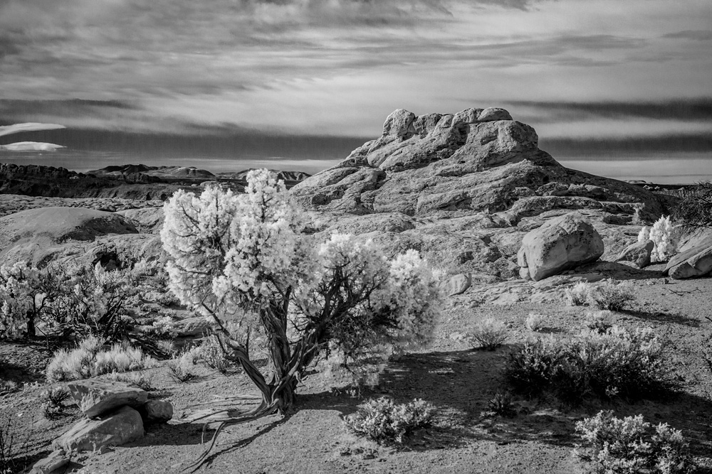 _DSC7287_WBbox_BW_dw.jpg