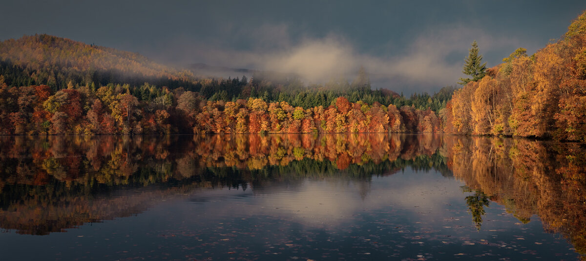 _DSC7380-1 from laptop v2 cropped copy.jpg