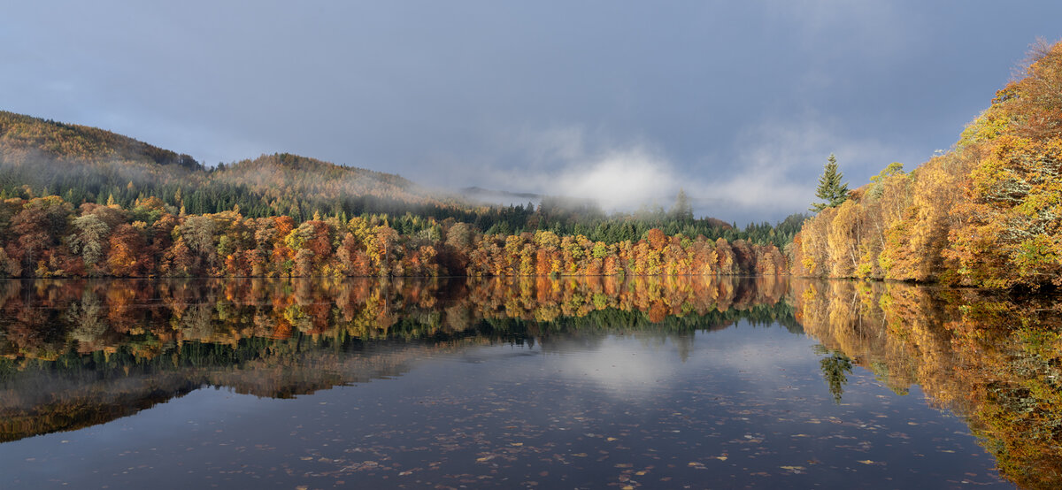 _DSC7381-1 copy.jpg