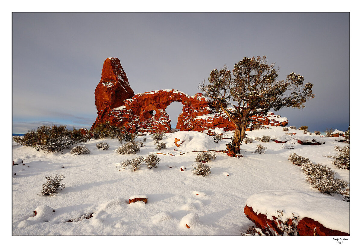 _DSC7441-X2.jpg