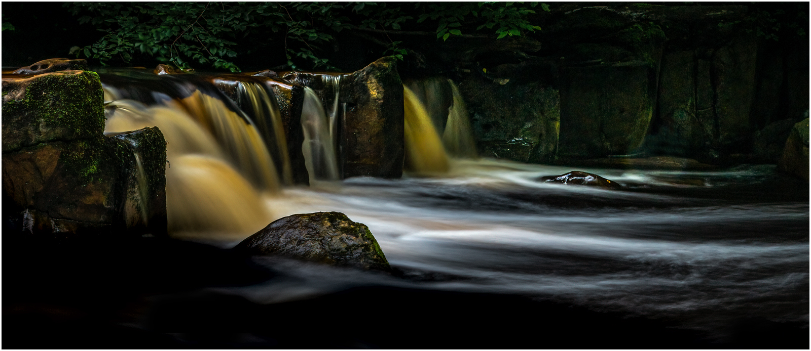 _DSC7462-1.jpg