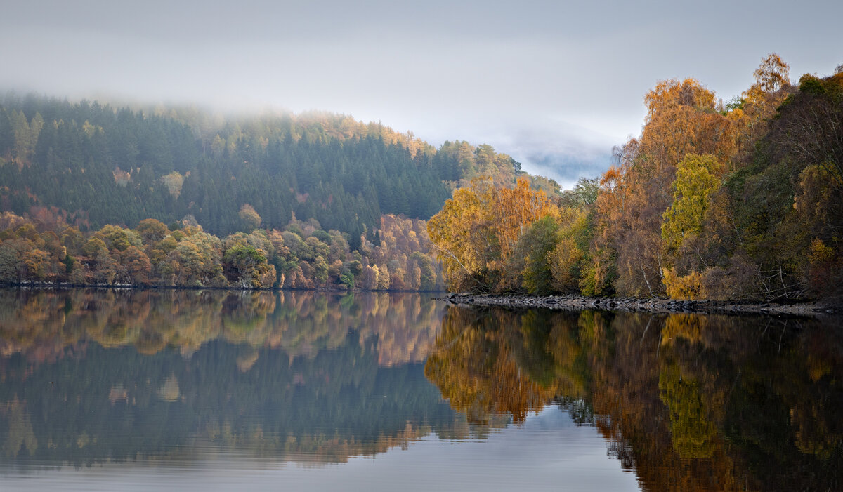 _DSC7485-1 copy.jpg