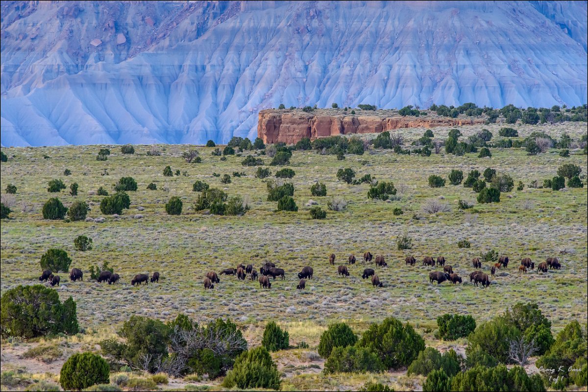 _DSC7513-X2.jpg