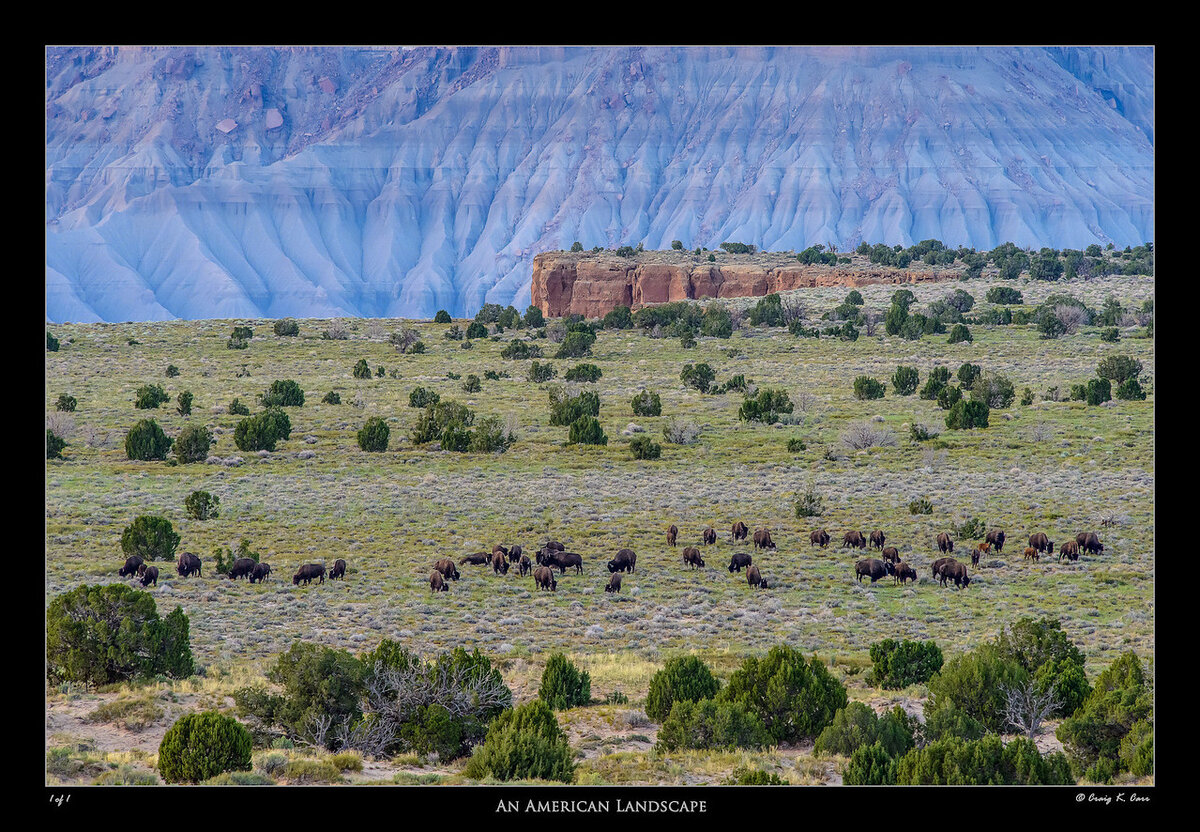 _DSC7513a-X2.jpg