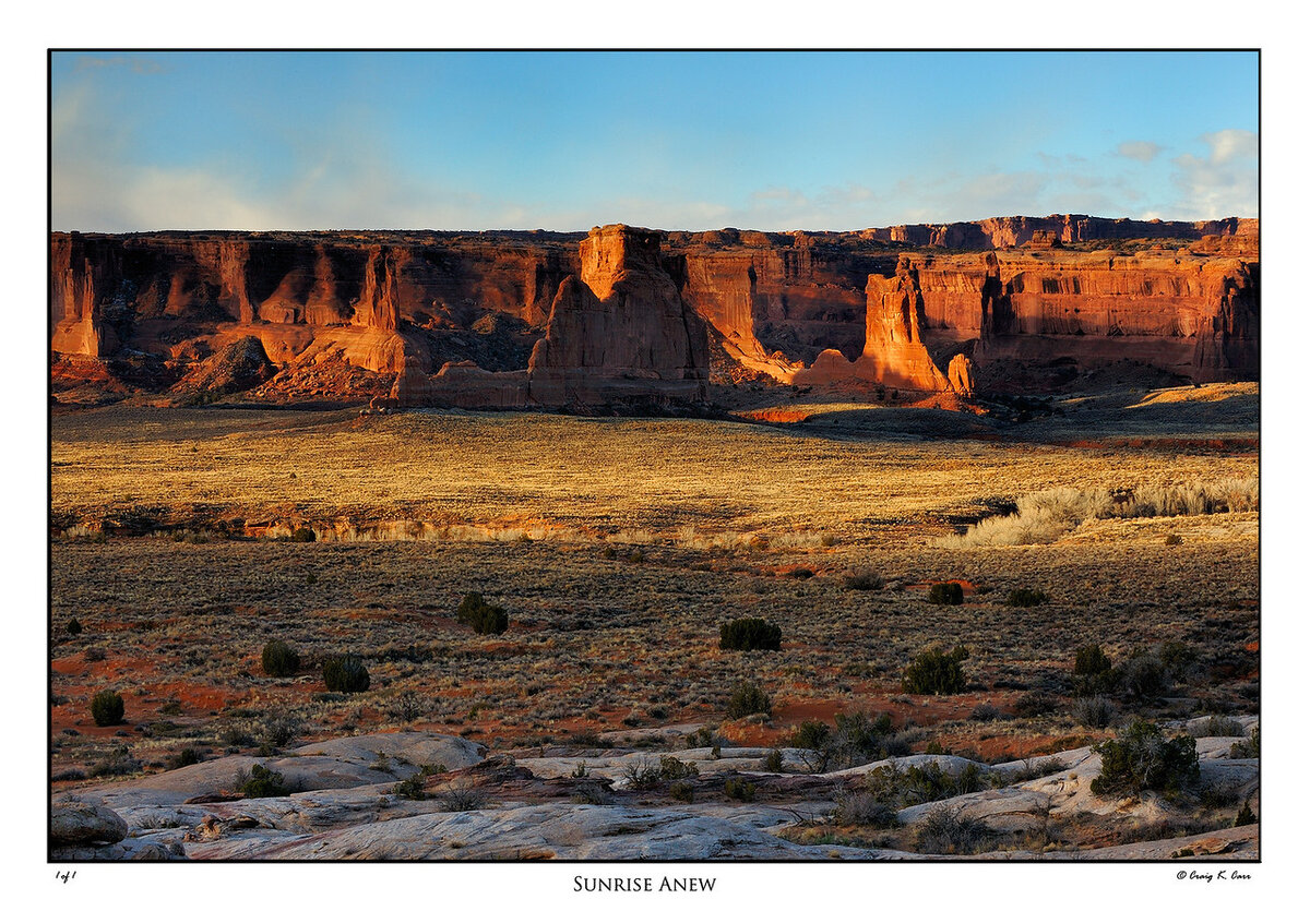 _DSC7527-X2.jpg