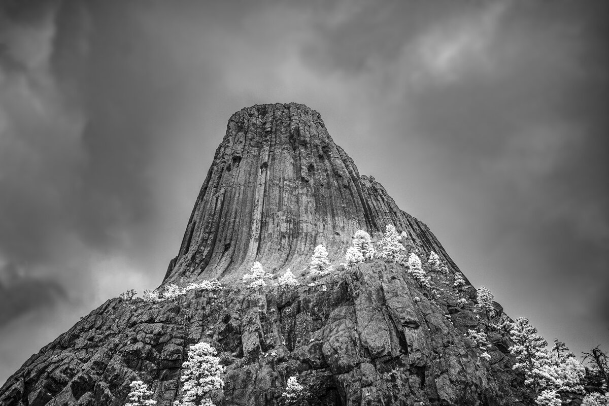 _DSC7531y_Wbox_B&W_d2w.jpg