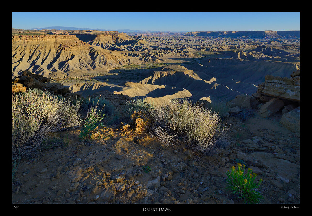 _DSC7641-X2.jpg