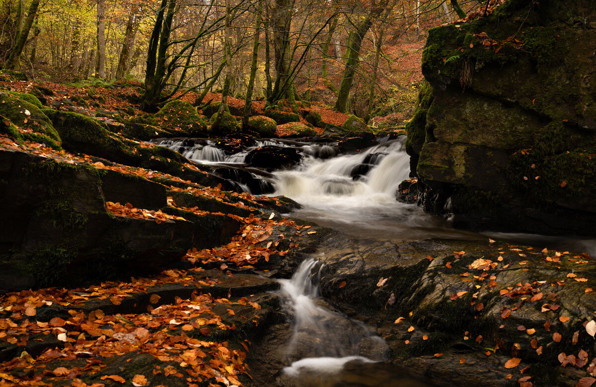 _DSC7655-1.jpg
