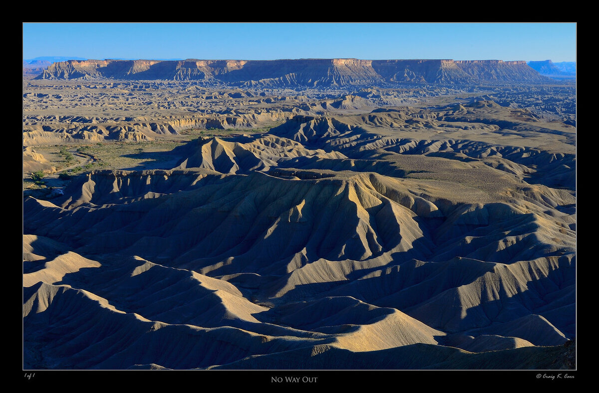 _DSC7673-X2.jpg