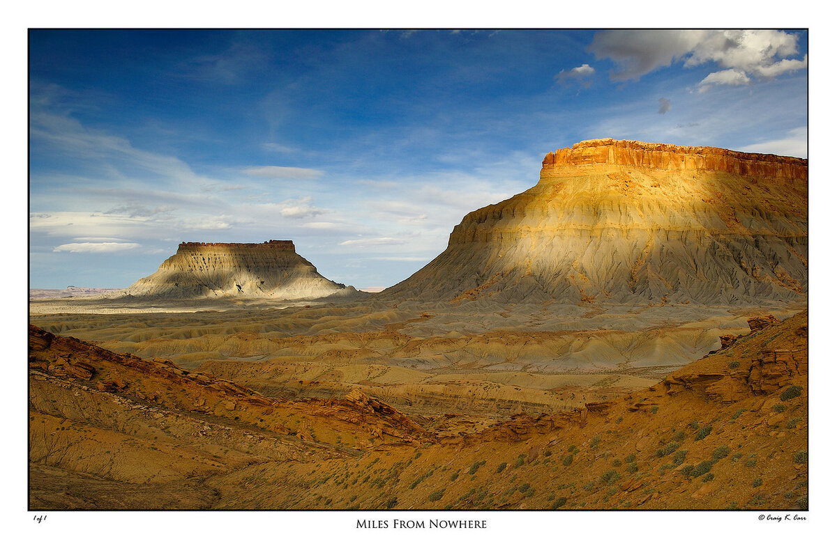 _DSC7771-X2.jpg