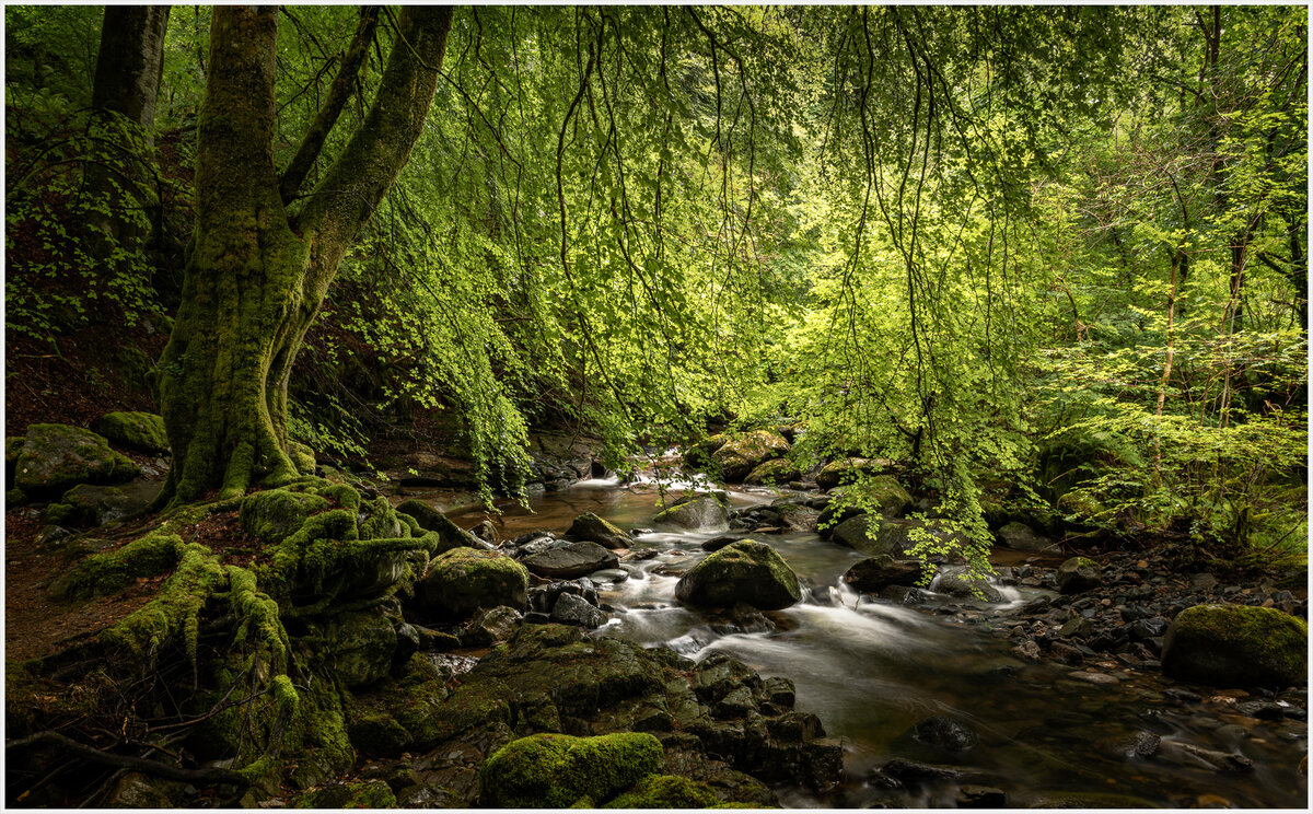 _DSC7837-1 copy (1).jpg