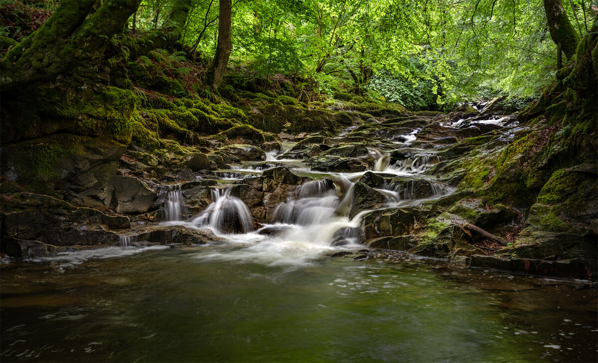 _DSC7873-1 7872 merge copy (1).jpg