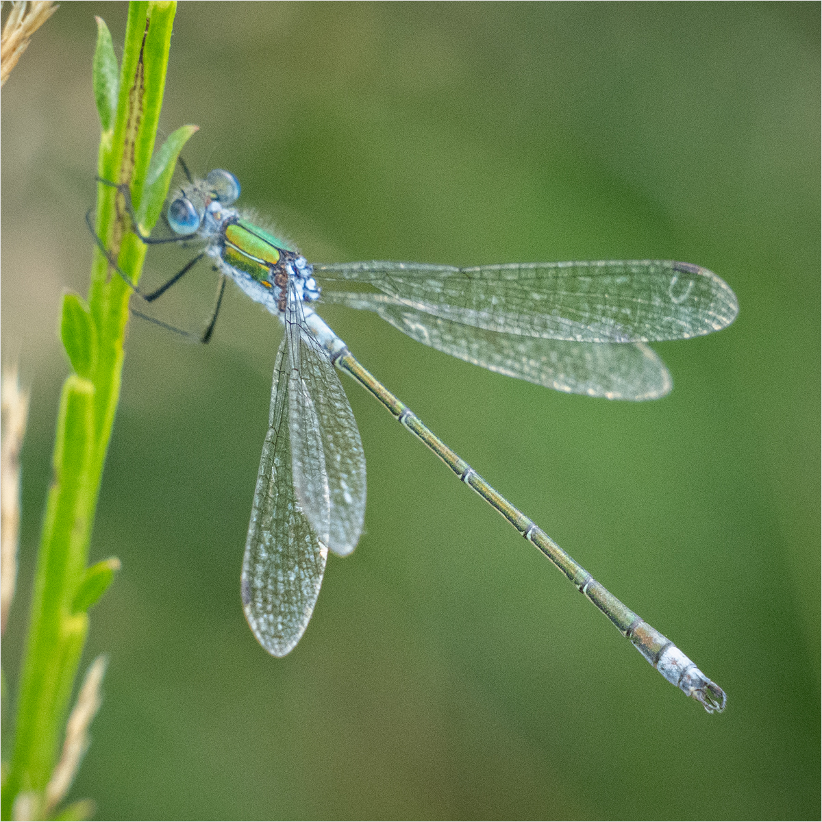 _DSC7891-3 from laptop.jpg