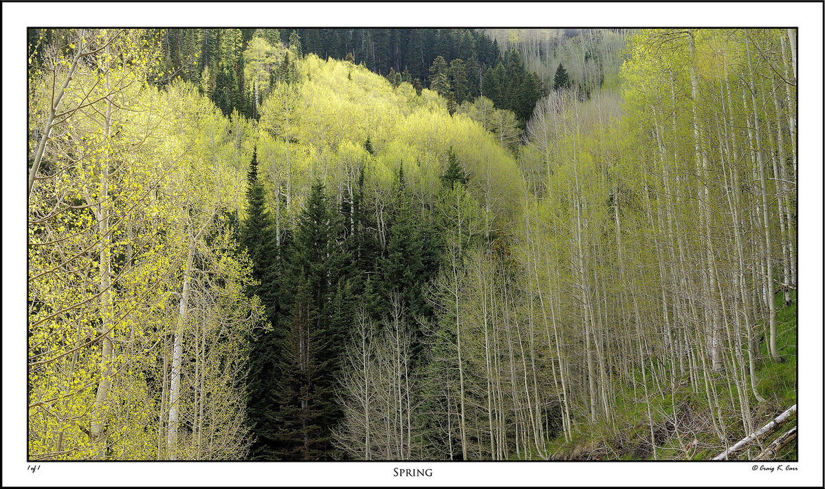 _DSC7910-X2.jpg