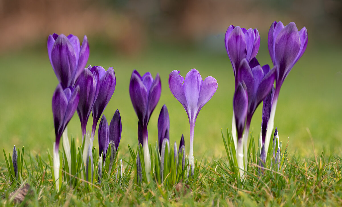 _DSC7935-1 7936 merge copy.jpg