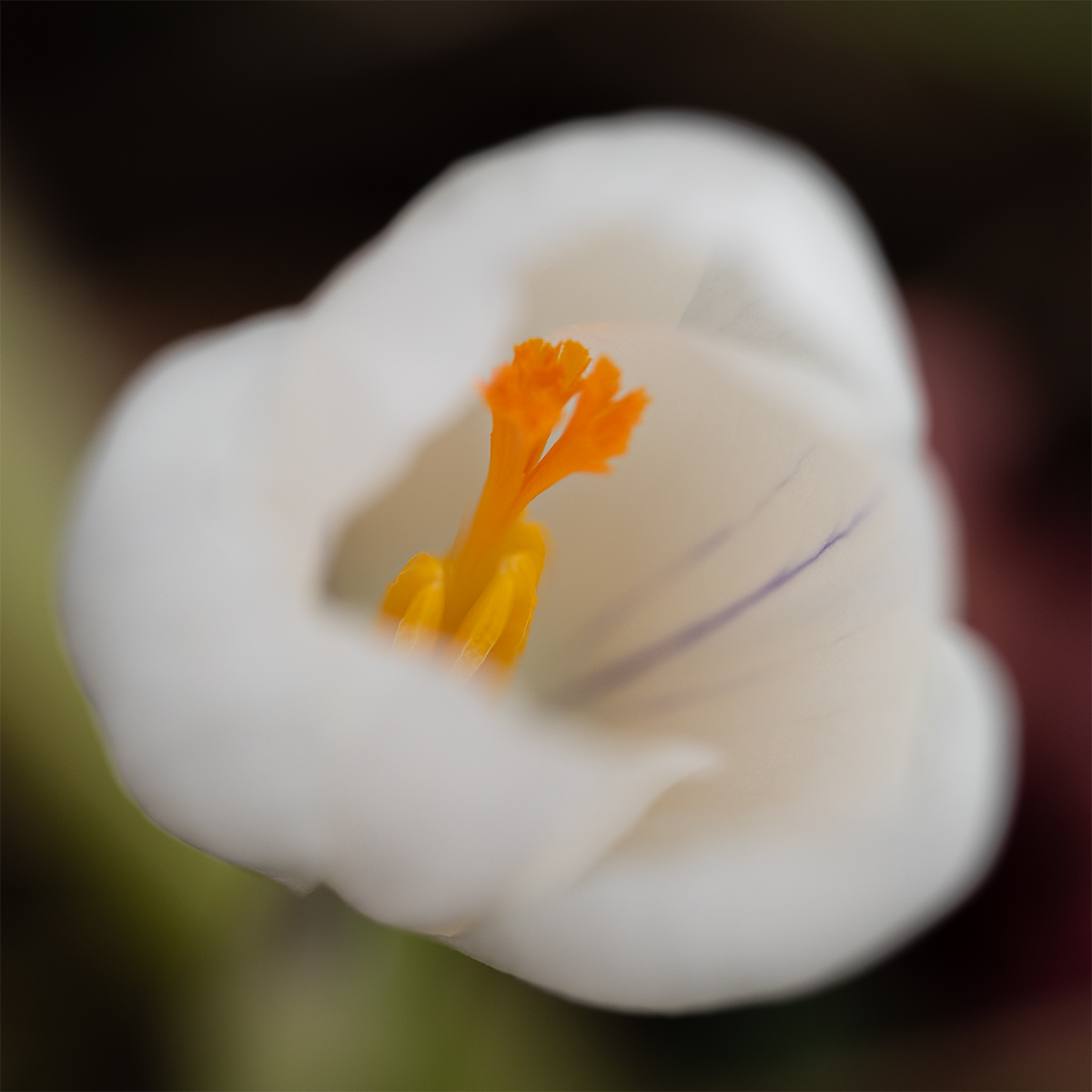 _DSC7957-1 7958 merge copy.jpg