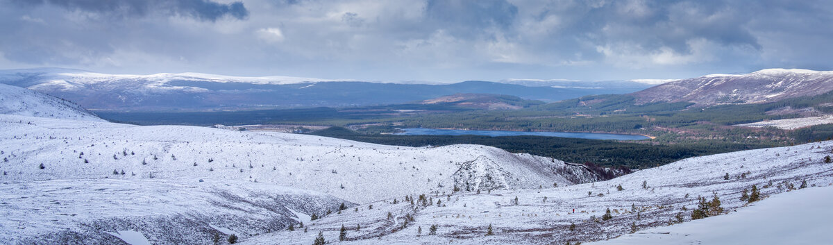 _DSC7959-1 copy.jpg