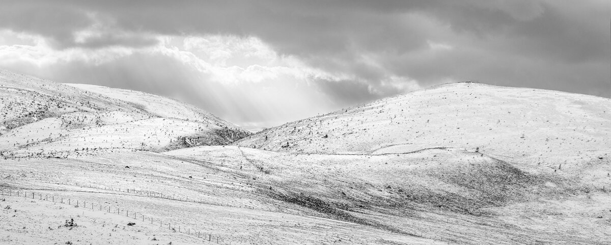 _DSC8011-2 brighter from laptop mono copy.jpg