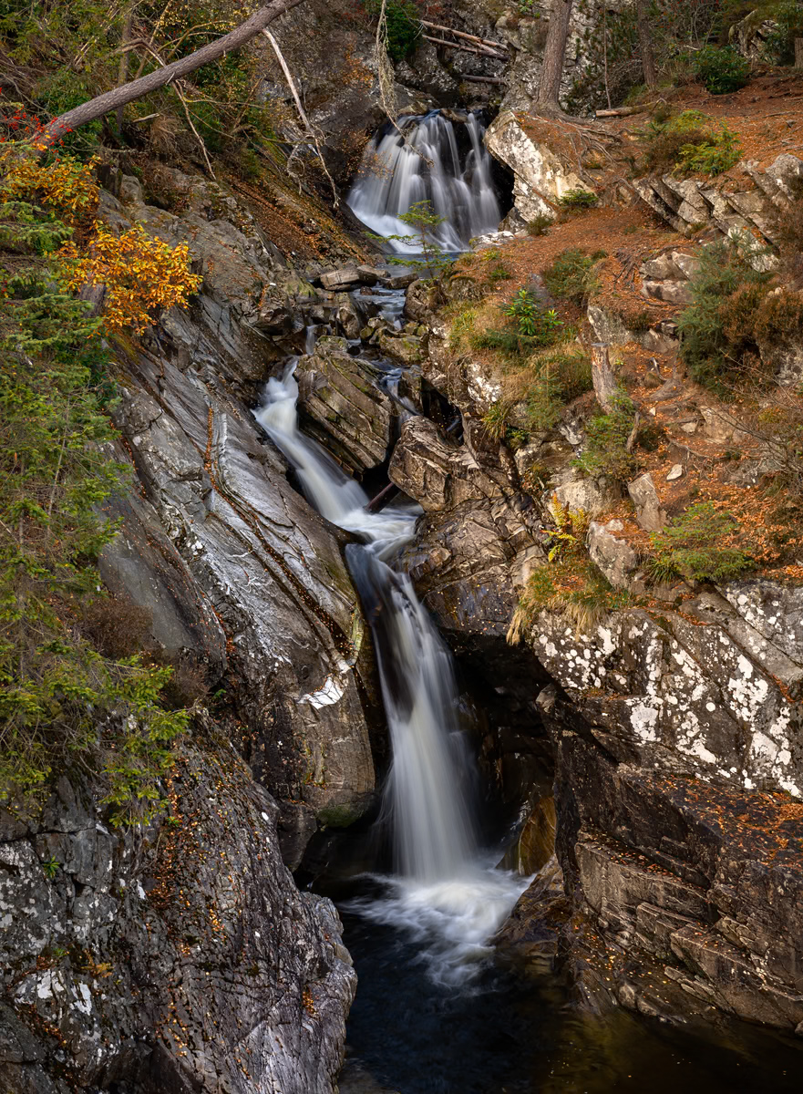 _DSC8029-1 copy.jpg