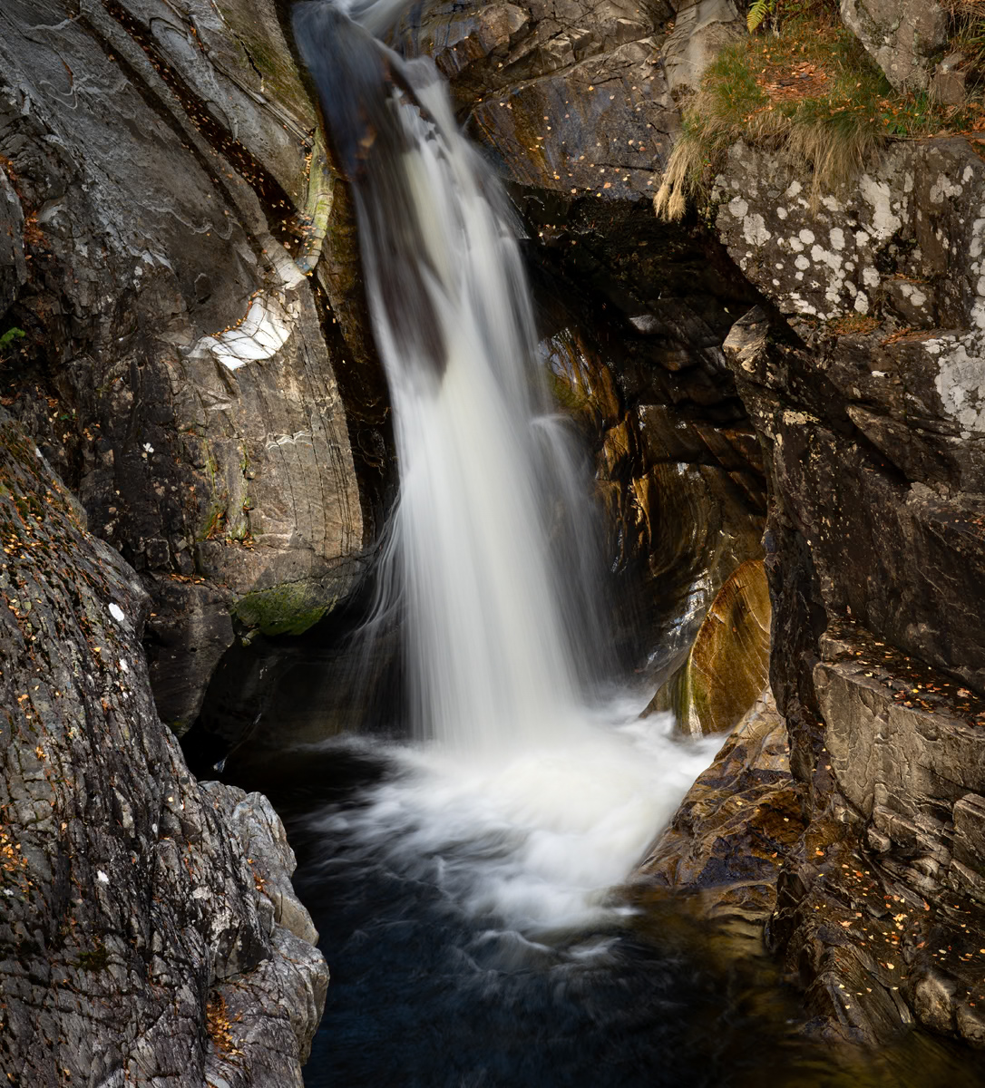 _DSC8031-1 copy.jpg