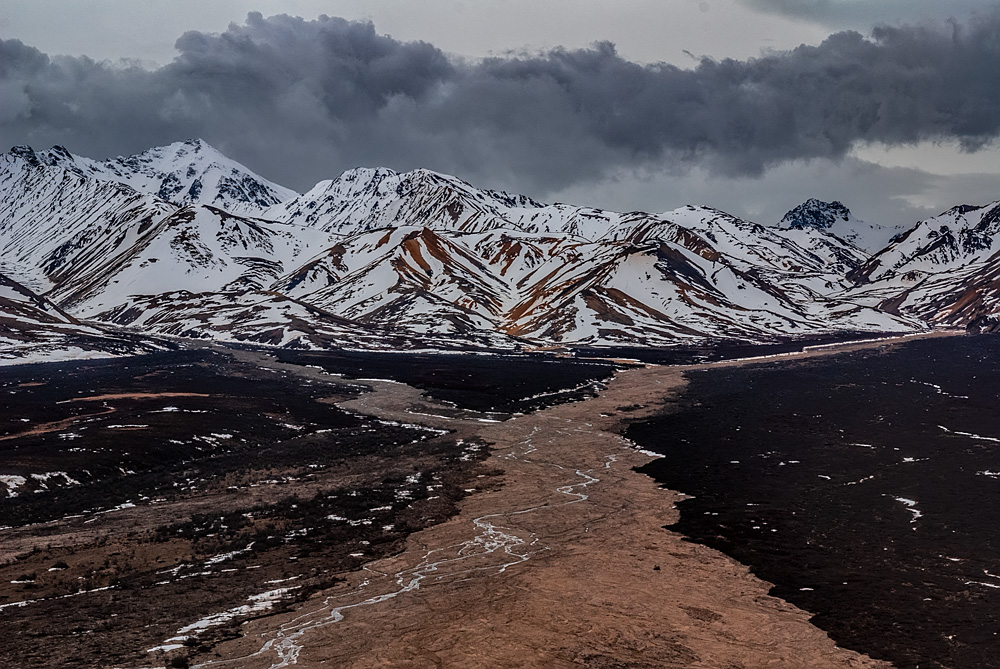 _DSC8061_dw.jpg