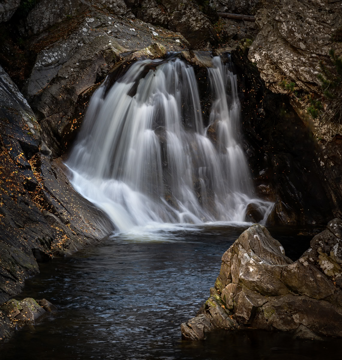 _DSC8064-1 copy.jpg