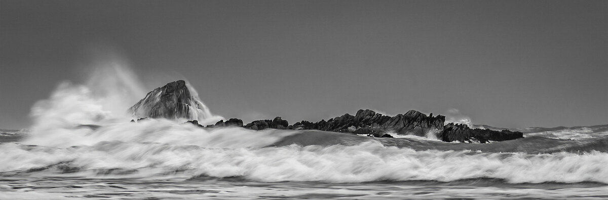 _DSC8146-1 no stroke-1 mono.jpg